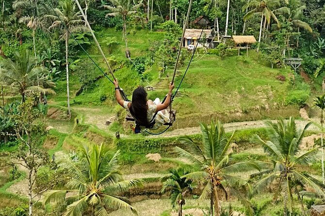 Ubud Waterfall Swing And Spring Temple Private Guided Tour - Frequently Asked Questions