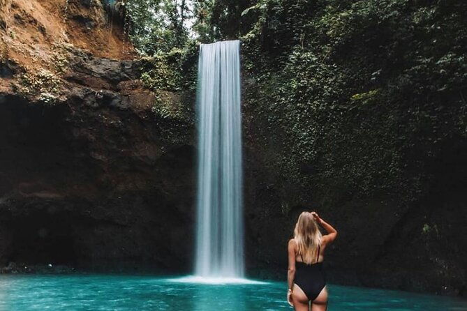Ubud Waterfalls, Rice Terrace & Jungle Swing - Private Tour - Who Would Love This Tour?