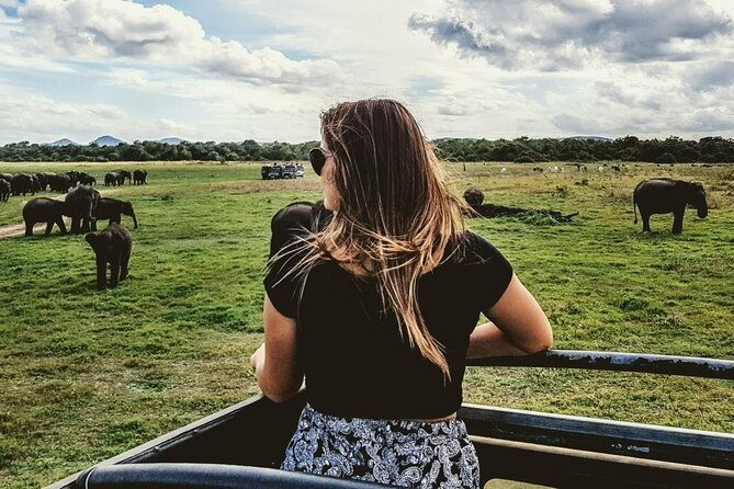 VALUE PACK! One Day Safari Tour to Yala and Udawalawa Parks - Final Thoughts: Is It Worth It?
