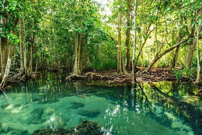 Vam Sat Mangrove Forest - VIP Private Tour from Ho Chi Minh City - FAQs