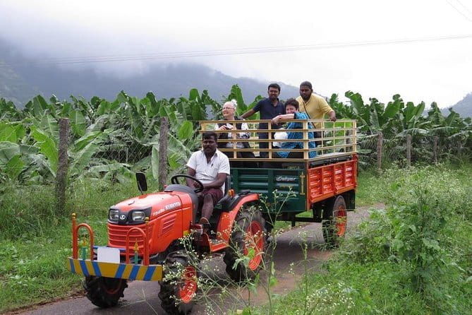 Village Bike Tour & Birdwatching - Birdwatching at Changaram Wetlands  