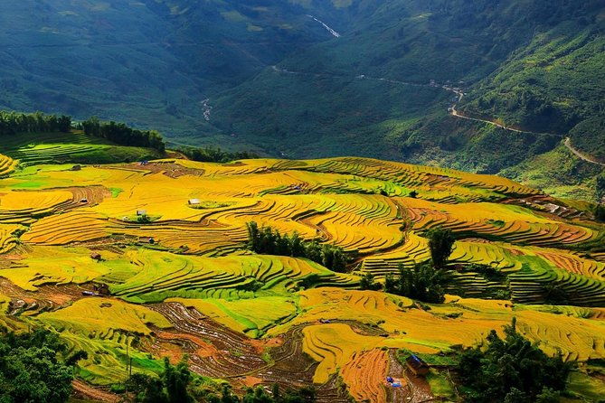 VIP LUXURY Sapa 2D1N -TRANSFER BY LUX LIMOUSINE CAR (Stay at 5* hotel) - FAQ: Your Practical Questions Answered