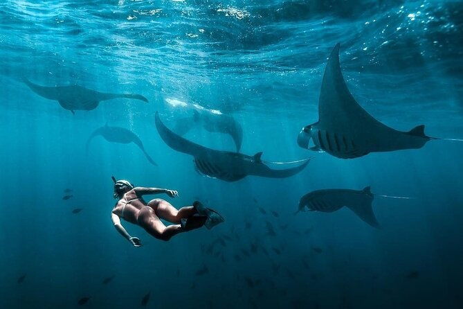 VIP Private Boat to Nusa Penida: Snorkeling with Mantas + Land Tour Adventure - The Sum Up: Is This Tour for You?