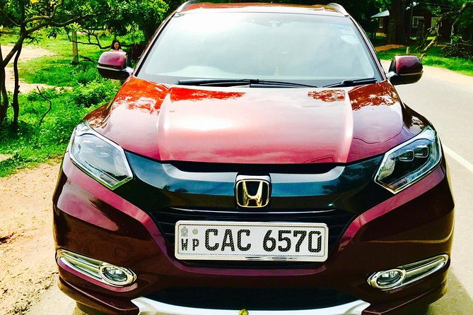 VIP Transport - Practical Tips for Using This Service