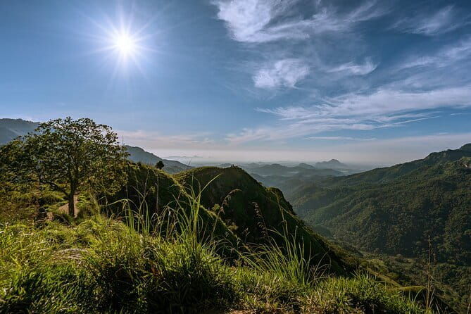 Waterfall Hunting- Bambarakanda & Lanka Falls + Natural Pool Bath - Who Is This Tour Best For?