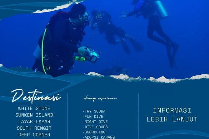 Whale Shark Adventure 2 Days 1 Night Sharing Trip - Authentic Experience and Extra Tips