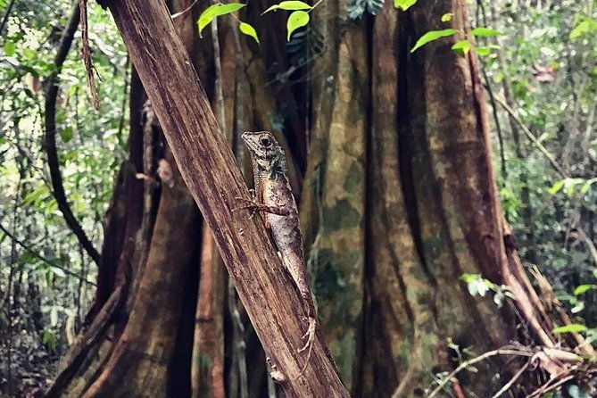 Wild Wonders Of Sri Lanka | 7 Days - Final Thoughts