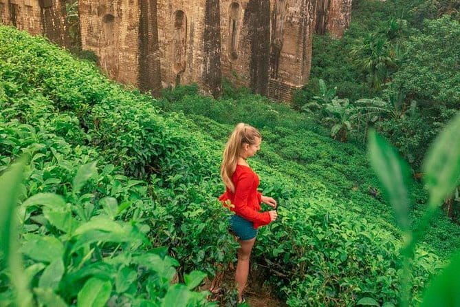 YALA SAFARI TOUR From Galle/Unawatuna/Mirissa/Matara/Tangalle - Practical Tips for Your Yala Safari