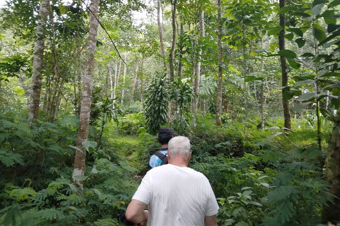 Yogyakarta Countryside Walking Tour - Frequently Asked Questions