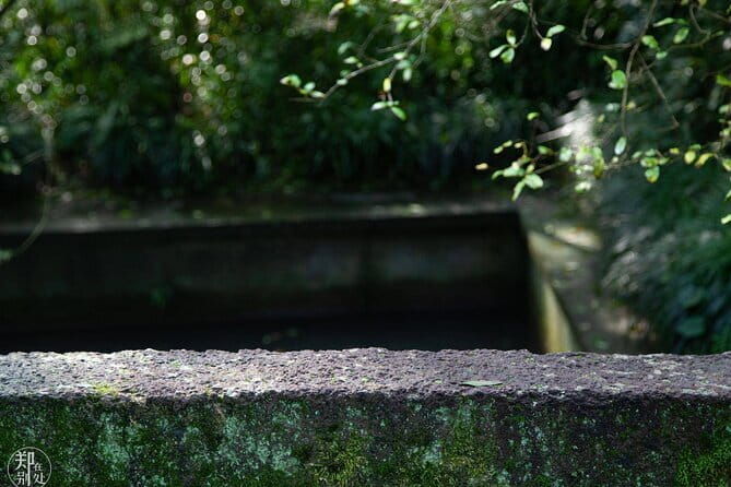 Zhujiajiao Water Town and Shanghai City Highlights Private Day Tour - Authentic Experiences from Past Travelers