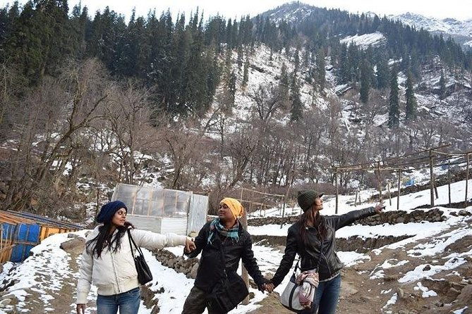 5-Day Kashmir Tour from Srinagar with Accommodation - Key Points  