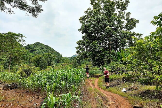 1 Day Ha Giang Loop Tour by Motorbike with Easy Rider - The Sum Up: Is This Tour Right for You?