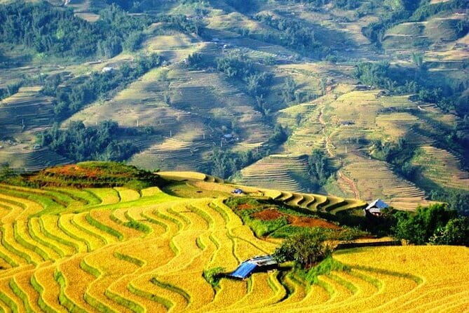 1 Day Sapa Tour Explore Y Linh Ho And Lao Chai And Ta Van Village - FAQs