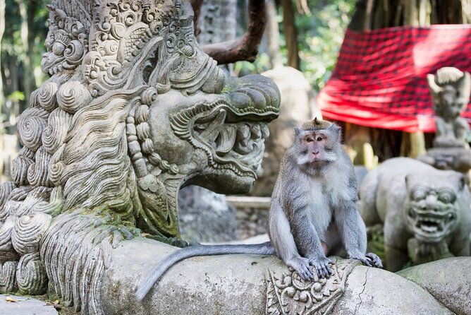 1-Day Ubud Tours All-Inclusive - The Sum Up