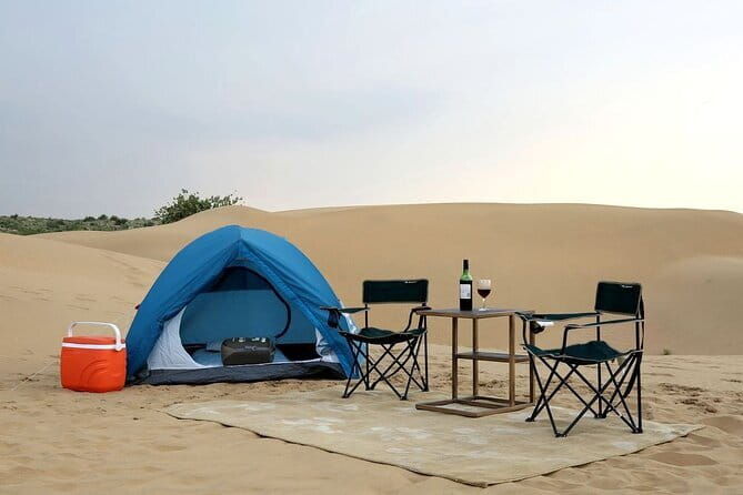 1-Night and 2-Days Thar Desert Safari Tour - Who Is This Tour Best For?