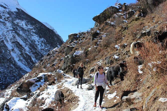 10-Days Private Langtang Valley Trek in Nepal - Frequently Asked Questions