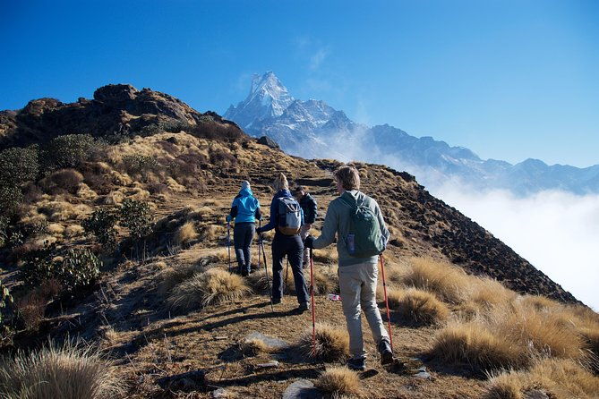 14 days Annapurna Base Camp Trek - Crossing the Fishtail and Annapurna South: Tadapani and Chhomrong