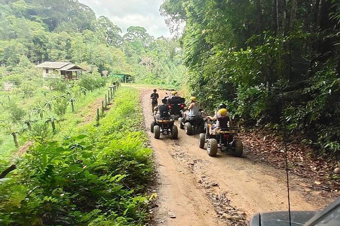 2.5-Hours ATV Jungle Adventure Experience from Koh Phangan - Who Will Love This Tour?