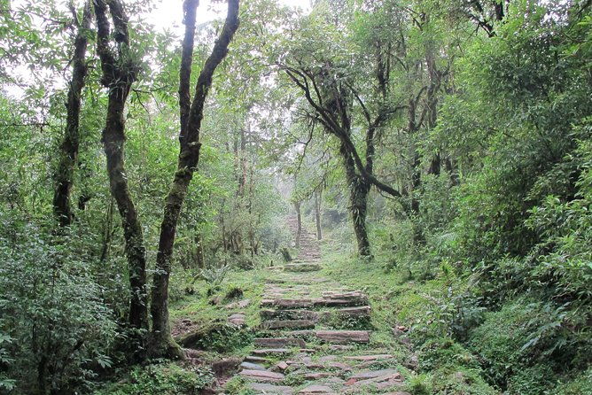 2-Day Private Trekking Tour to Australian Camp & Dhampus - Final Thoughts