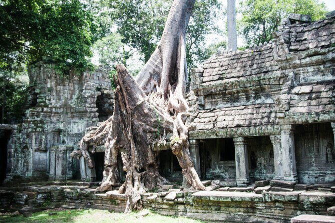 2-Day Siem Reap Angkor Bicycle Experience - Is This Tour Worth It?