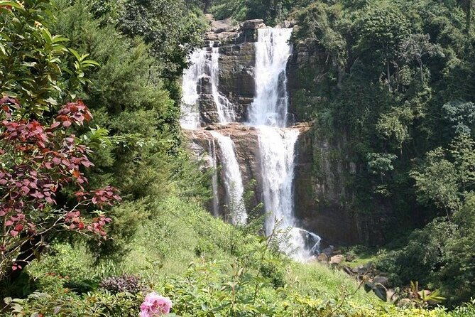 2 Day Tour of Yala & Ella with Hill Country Scenic Train Ride - All Inclusive - Practical Tips for Future Travelers