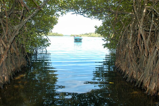 2 Days Tour To Bentota Galle & Yala From Colombo - Final Thoughts