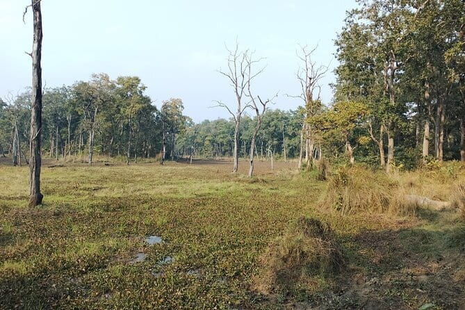 2 Night 3 Days Chitwan Jungle Safari Tour from Kathmandu - Final Thoughts