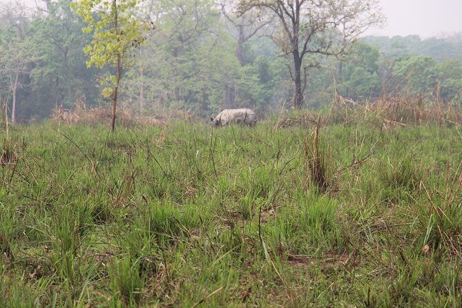 3-Day Chitwan National Park Jungle Safari Tour Package with Pick Up - FAQ