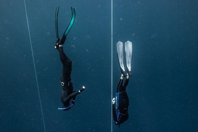 3-Day Freediving Level 1 Course - The Sum Up