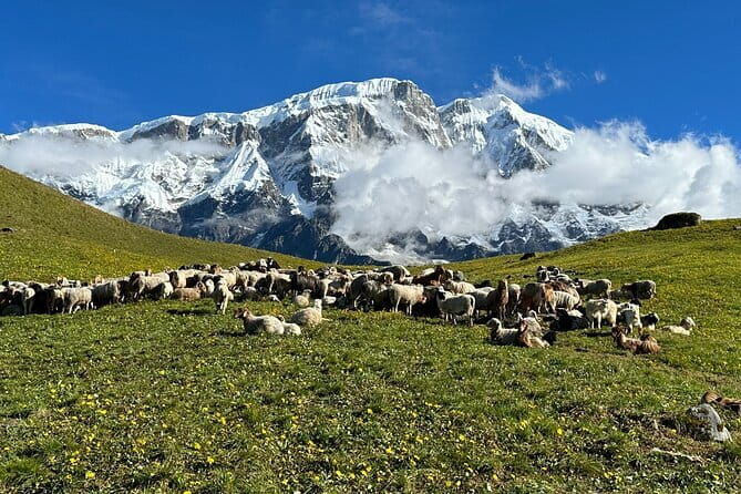 3 Day Kapuche Glacier Lake Trek with Siklesh from Pokhara - FAQ