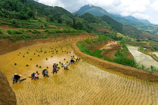 3-Day Sapa Trek, visit Fansipan (cable car) from Hanoi with local - FAQ
