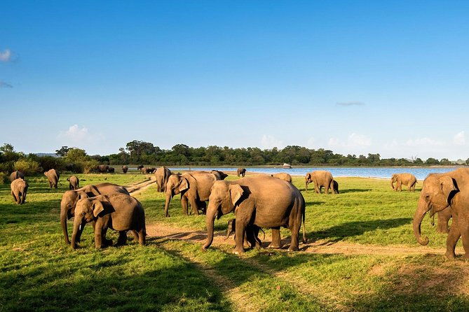 3 Days Glimpse Of Sri Lanka - Final Thoughts