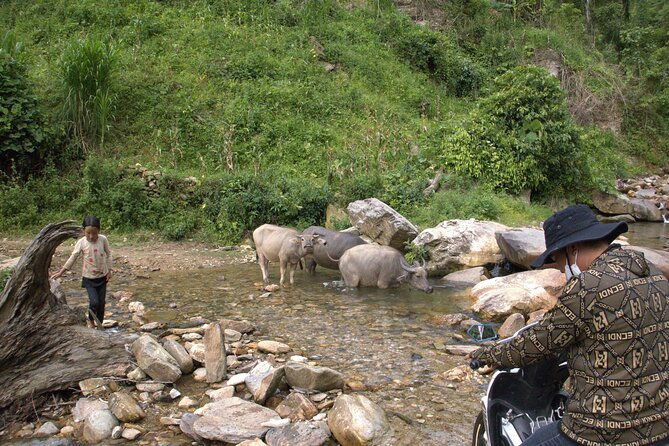 3D2N- Rice Terraces Treks & Easy rider from Sa Pa - Final Thoughts