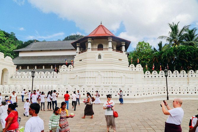 5-Day Sri Lanka Central Highlands Tour - Final Thoughts