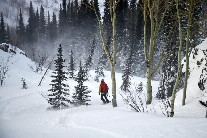 6-Day Kazakhstan Ridder Camp Ski Private Guided Tour and Adventure - Final Thoughts
