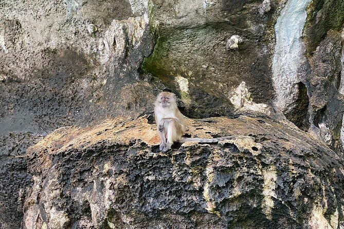 6 Hours Private Tour Around Phi Phi Islands From Phi Phi - FAQ Section