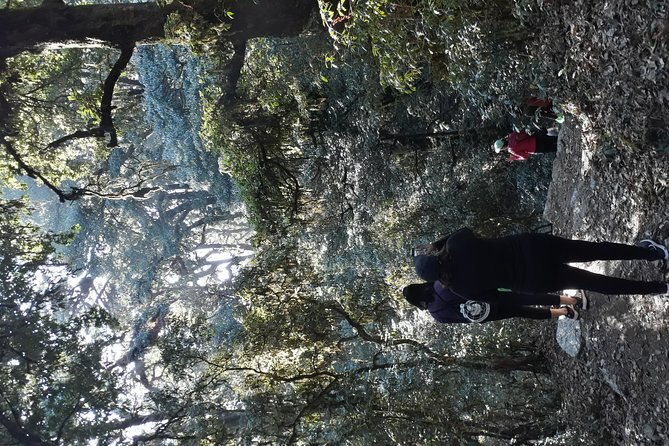 A day hike from Kathmandu to Bagadwaar - FAQ