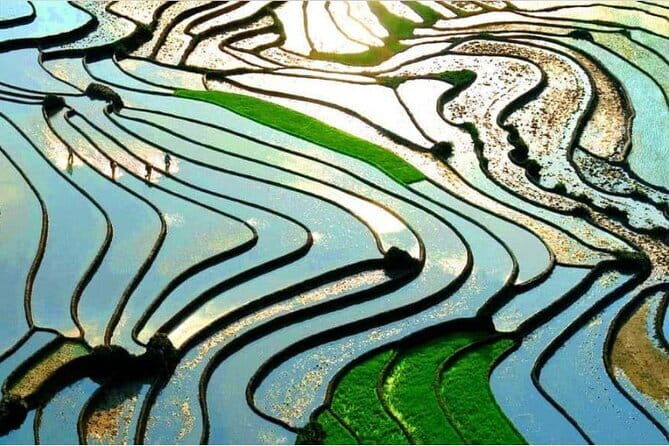 A day Trek to Rice Field in LaoChai-Tavan village-MuongHoa valley - Who Would Love This Tour?