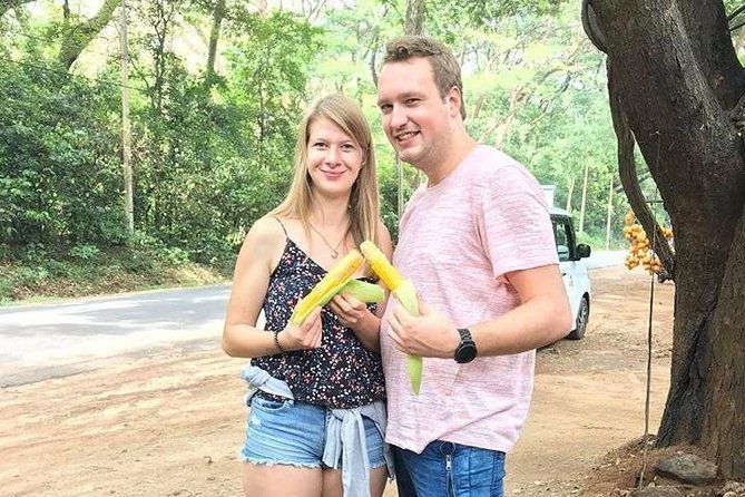 Air port Pick up and Drop to Kandy - Who Is This Transfer Best For?