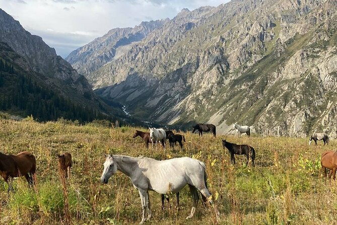 All in one-day: Bishkek city tour and Ala-Archa National Park - Authentic Experiences from Reviewers