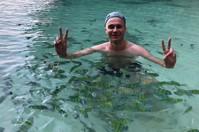 All-in Phi Phi, Maiton, MayaBay, Khai, Bamboo islands Tour - References