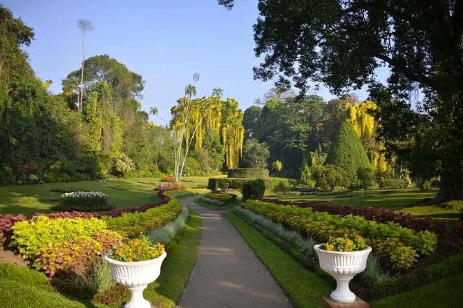 All Inclusive Kandy Private Day Tour From Colombo and Negombo - Final Thoughts: Who Is This Tour For?