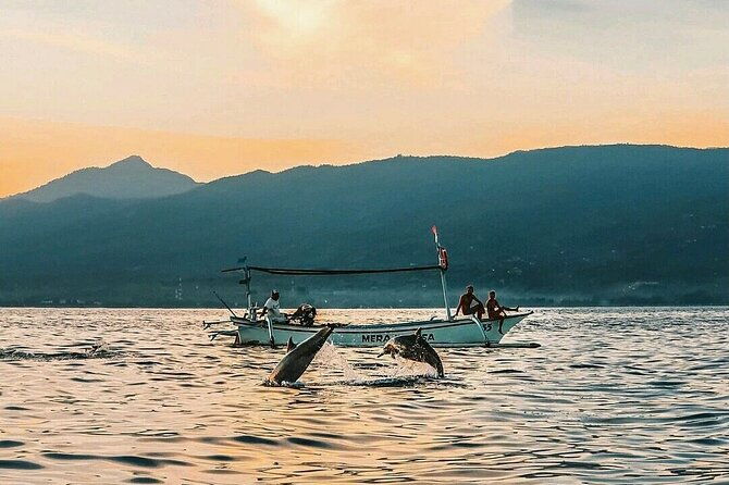 All inclusive Lovina Dolphins Sunrise tour, Waterfall & Temple - Final Thoughts  
