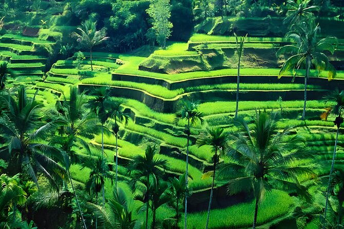 Amazing Ubud and Uluwatu Sunset Tour with Dinner Packages - Kecak and Fire Dance: An Evening of Cultural Magic