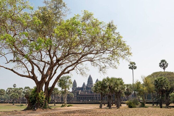 Angkor Wat, Angkor Thom & Elephant Terrace Half-Day Tours - Final Thoughts: Is This Tour Right for You?