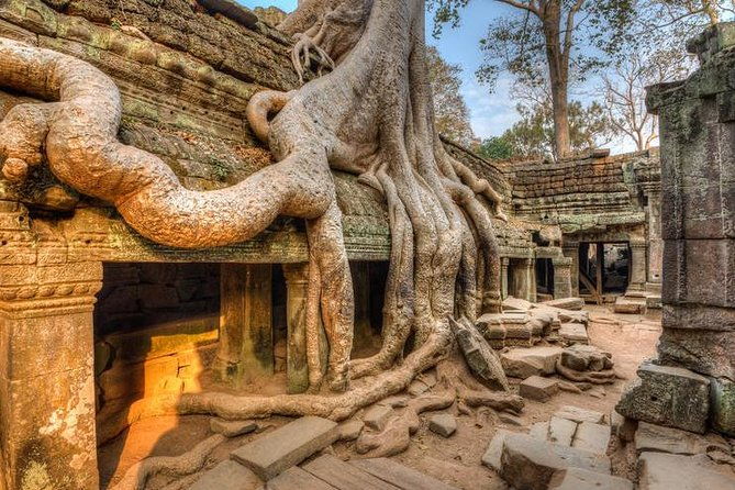 Angkor Wat Day Tours And Sunset - Final Thoughts