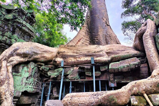 Angkor Wat Sunrise, Ta Promh, Banteay Srei, Bayon Private Tour - Final Stop: South Gate of Angkor Thom  