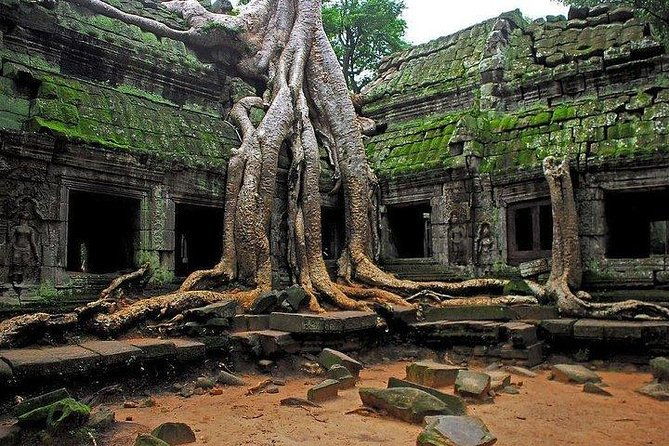 Angkor Wat Sunrise Tour - Who Should Book This Tour?