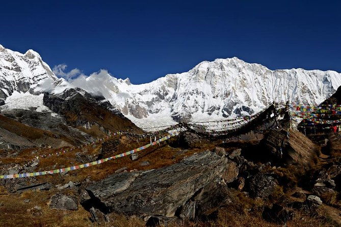 Annapurna Base Camp Trek- 11 Days - Authentic Experience and Traveller Reviews
