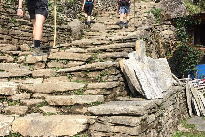 Annapurna Base Camp Trek from Pokhara - Authentic Traveler Insights